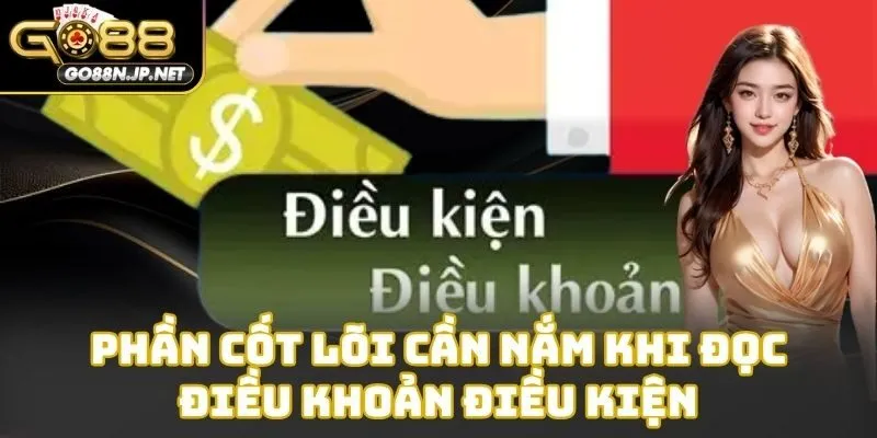 Phần cốt lõi cần nắm khi đọc điều khoản điều kiện